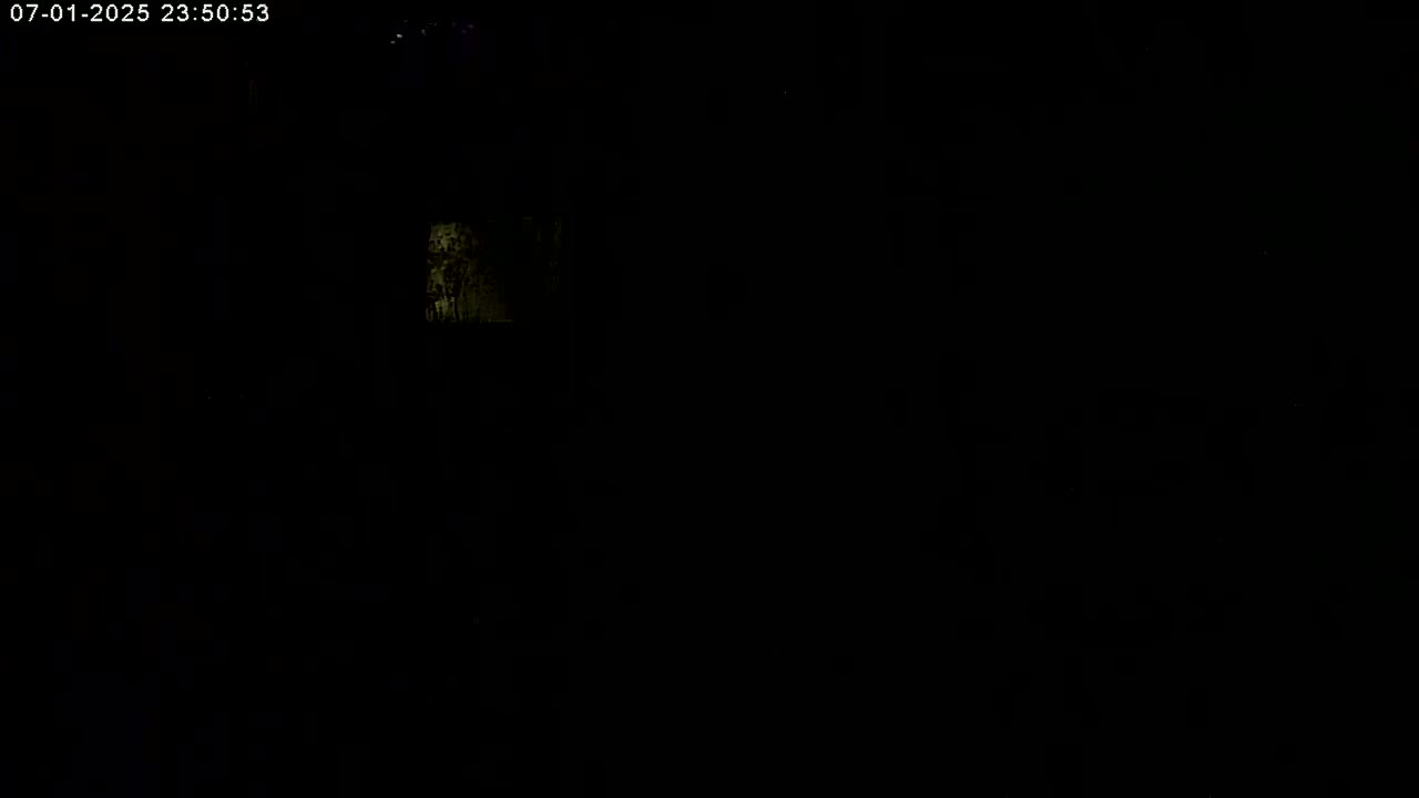 Manhester, NH, Falcon Life Live Cam - Manchester, Hillsborough, New Hampshire, USA