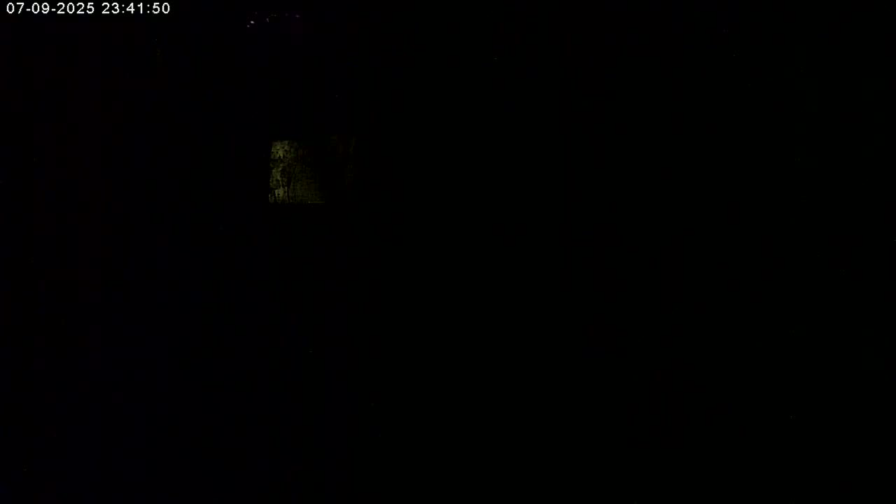 Manhester, NH, Falcon Life Live Cam - Manchester, Hillsborough, New Hampshire, USA