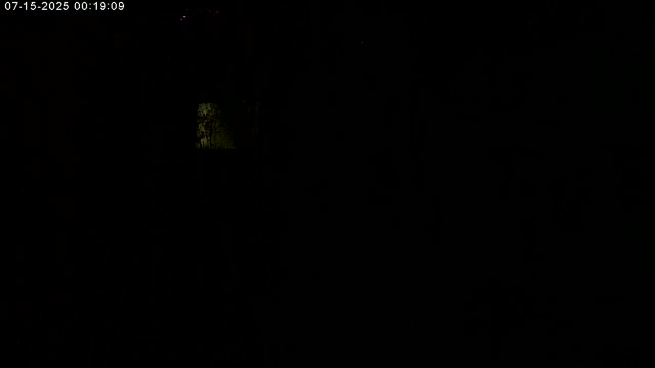 Manhester, NH, Falcon Life Live Cam - Manchester, Hillsborough, New Hampshire, USA
