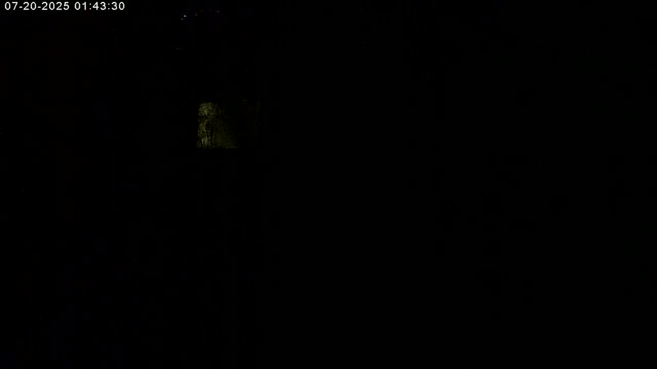 Manhester, NH, Falcon Life Live Cam - Manchester, Hillsborough, New Hampshire, USA