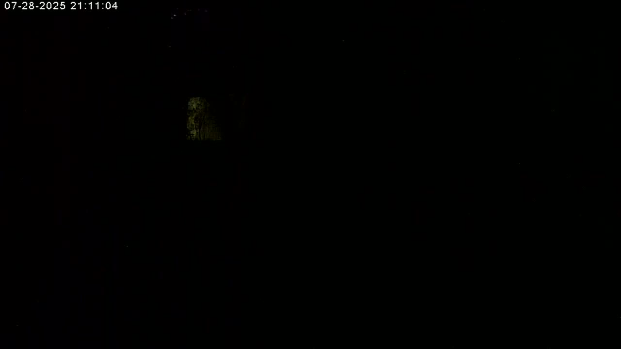 Manhester, NH, Falcon Life Live Cam - Manchester, Hillsborough, New Hampshire, USA