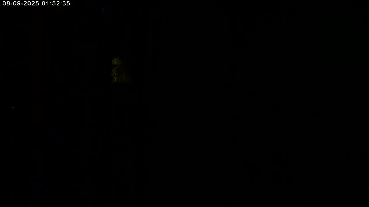 Manhester, NH, Falcon Life Live Cam - Manchester, Hillsborough, New Hampshire, USA