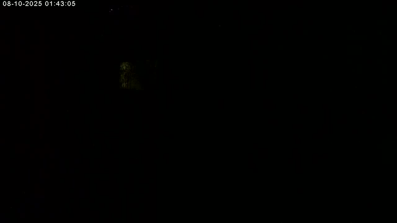 Manhester, NH, Falcon Life Live Cam - Manchester, Hillsborough, New Hampshire, USA