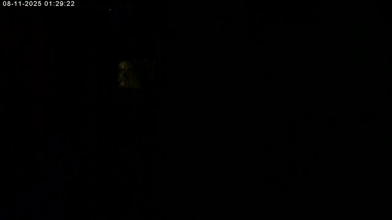 Manhester, NH, Falcon Life Live Cam - Manchester, Hillsborough, New Hampshire, USA