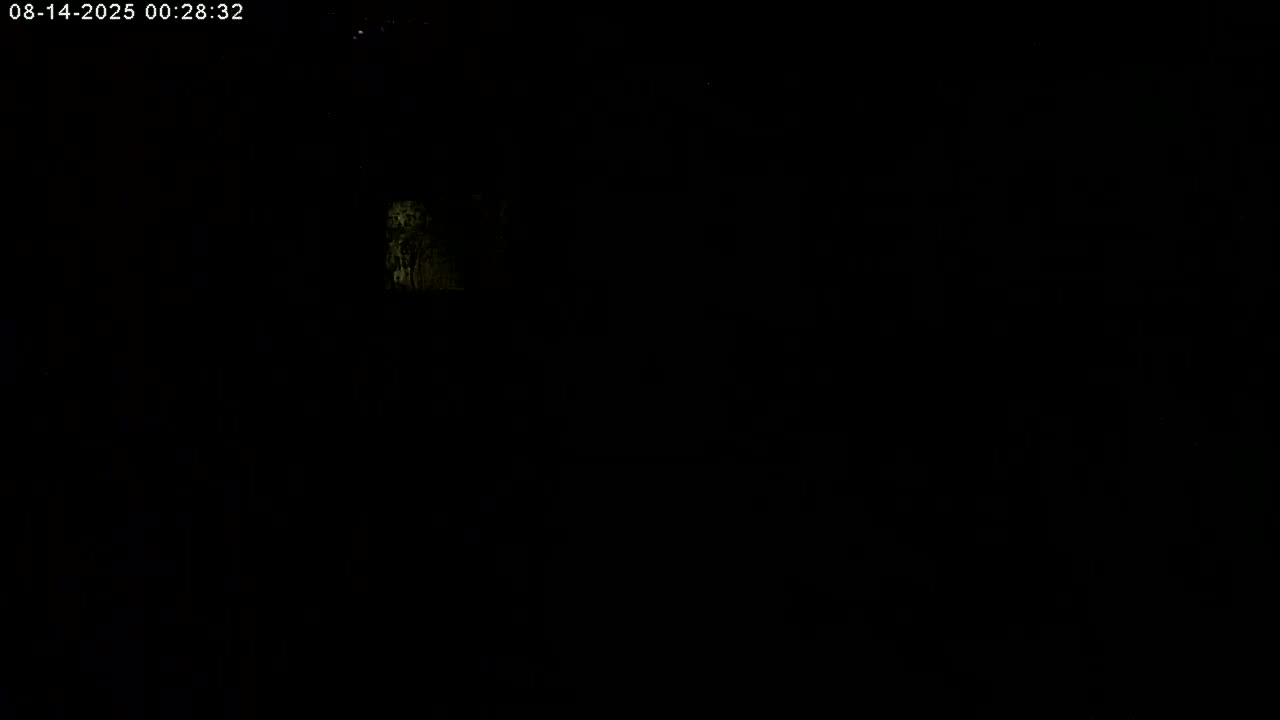 Manhester, NH, Falcon Life Live Cam - Manchester, Hillsborough, New Hampshire, USA