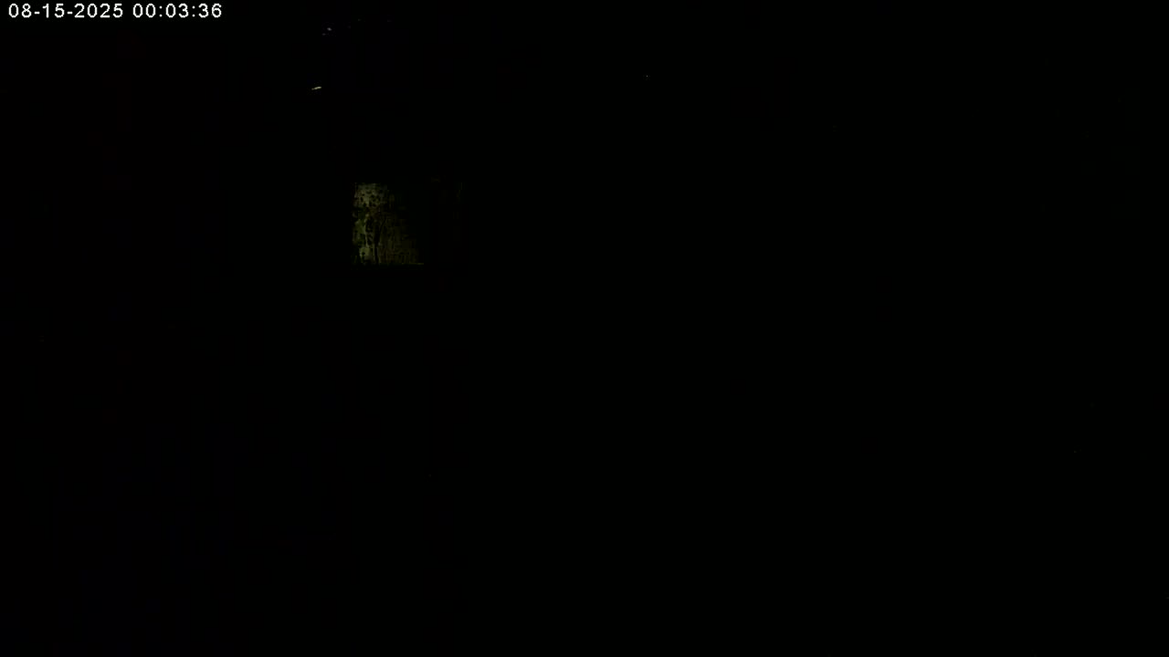 Manhester, NH, Falcon Life Live Cam - Manchester, Hillsborough, New Hampshire, USA
