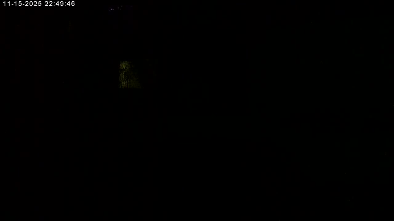 Manhester, NH, Falcon Life Live Cam - Manchester, Hillsborough, New Hampshire, USA