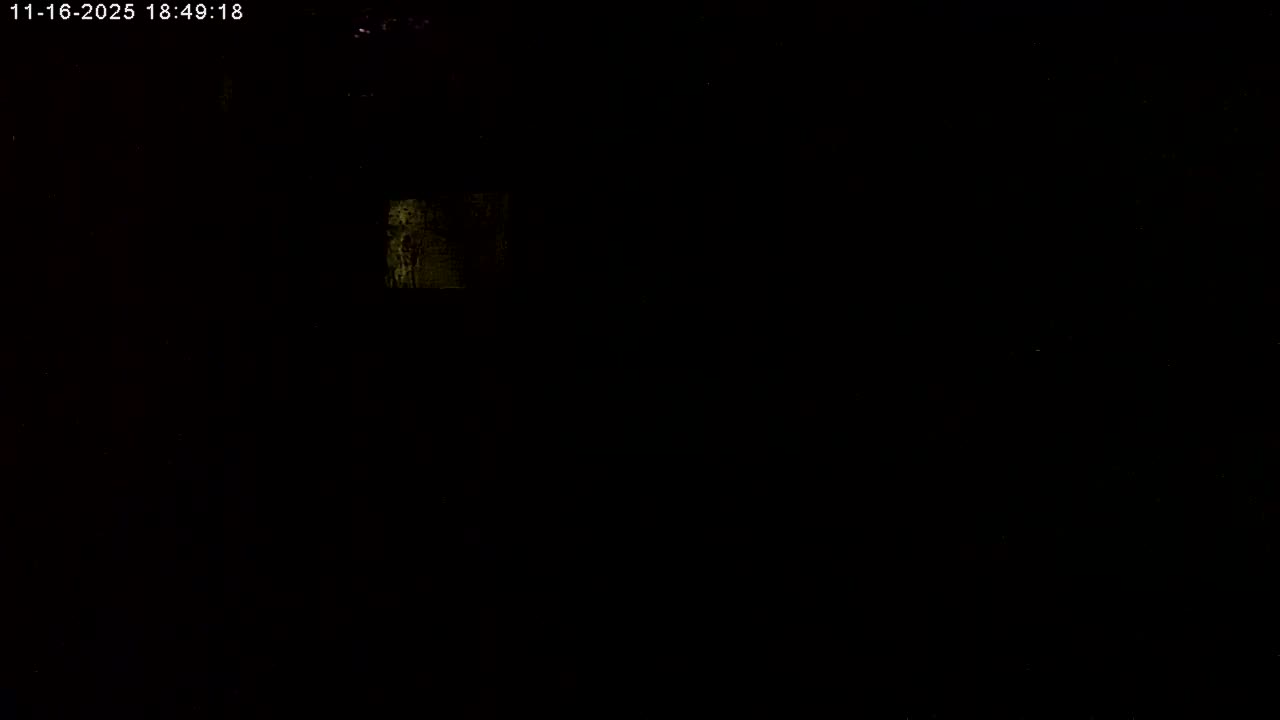 Manhester, NH, Falcon Life Live Cam - Manchester, Hillsborough, New Hampshire, USA