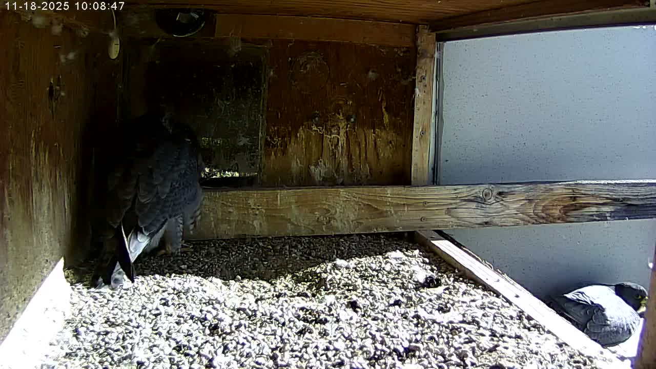 A dimly lit, dark scene shows a small, vaguely illuminated area in the upper-left.