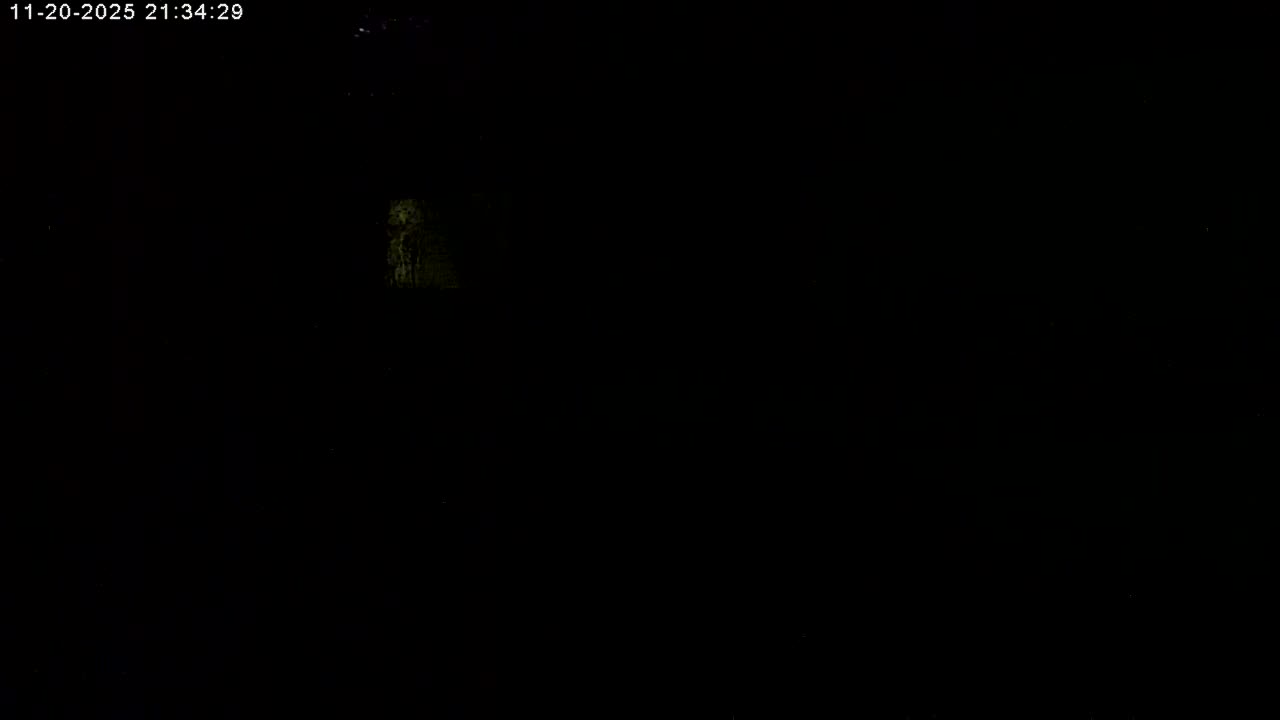 Manhester, NH, Falcon Life Live Cam - Manchester, Hillsborough, New Hampshire, USA