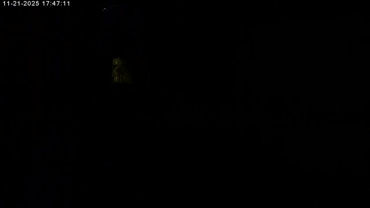 Manhester, NH, Falcon Life Live Cam - Manchester, Hillsborough, New Hampshire, USA