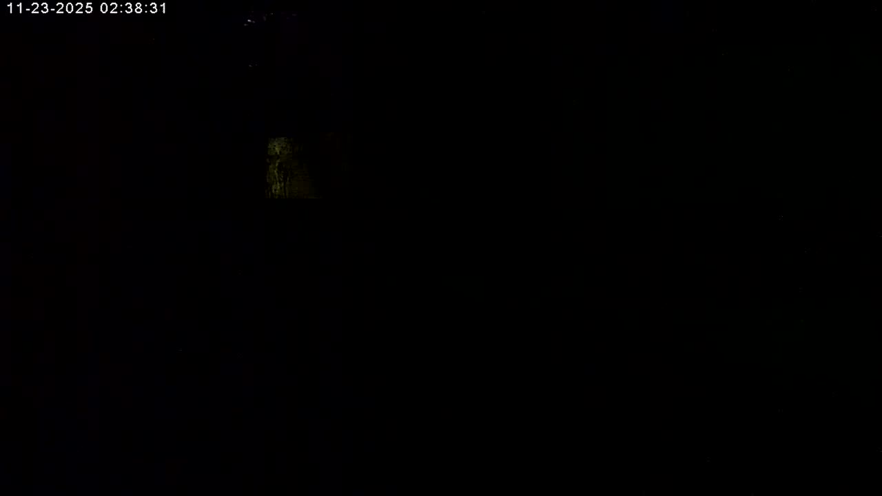 Manhester, NH, Falcon Life Live Cam - Manchester, Hillsborough, New Hampshire, USA