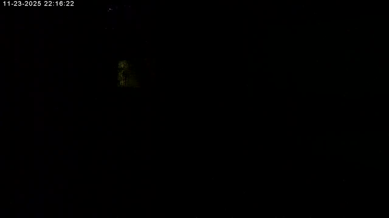 Manhester, NH, Falcon Life Live Cam - Manchester, Hillsborough, New Hampshire, USA