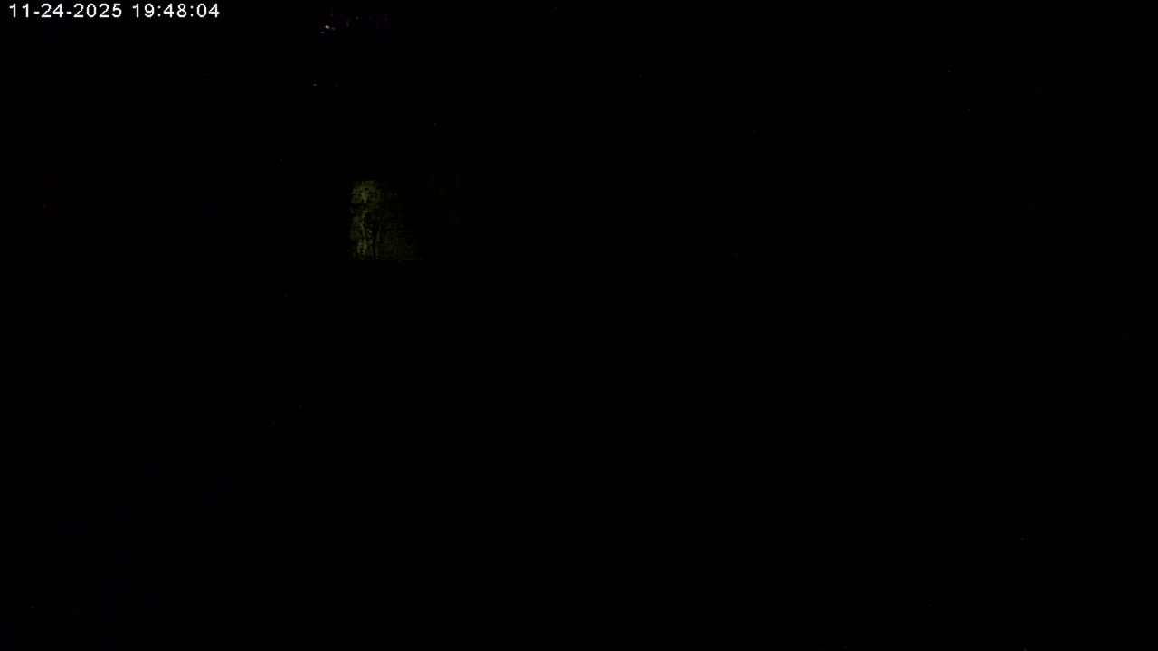 Manhester, NH, Falcon Life Live Cam - Manchester, Hillsborough, New Hampshire, USA