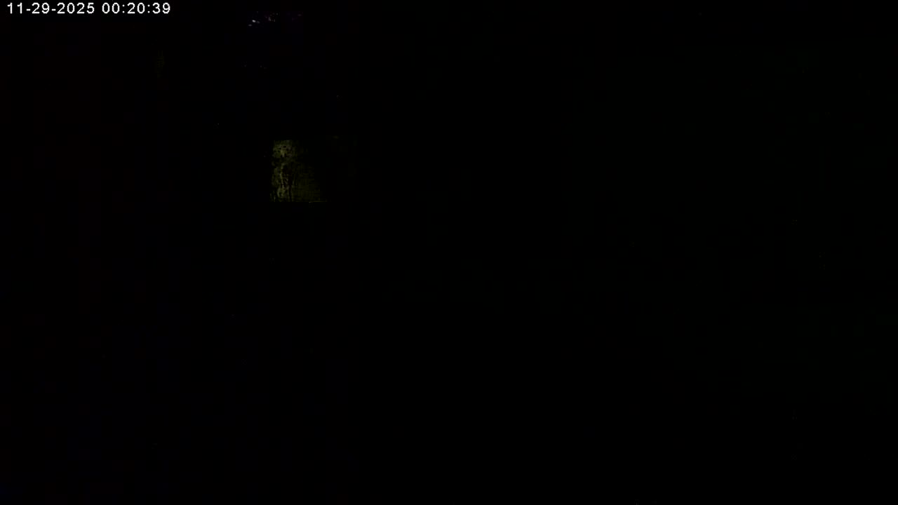 Manhester, NH, Falcon Life Live Cam - Manchester, Hillsborough, New Hampshire, USA