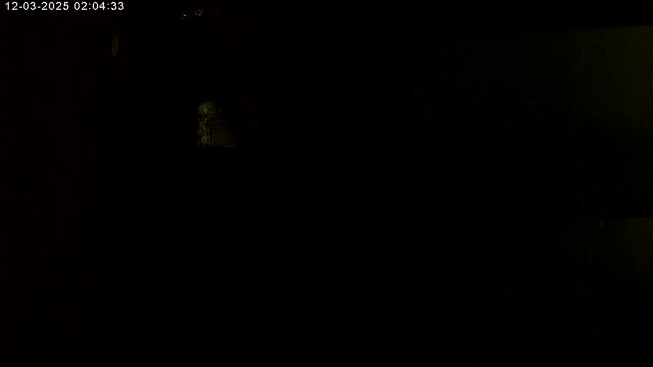 Manhester, NH, Falcon Life Live Cam - Manchester, Hillsborough, New Hampshire, USA