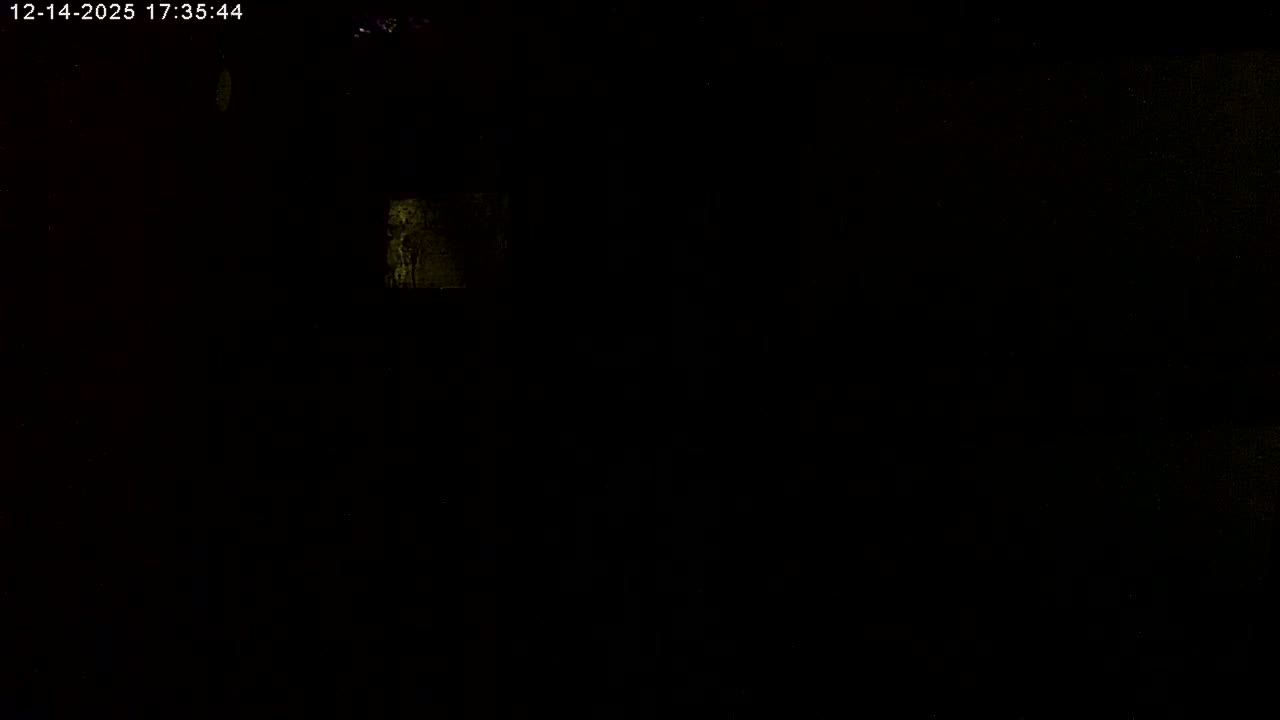 The image depicts an extremely dark outdoor scene at night, with only barely discernible, faint green-tinged shapes of distant vegetation visible under clear conditions.