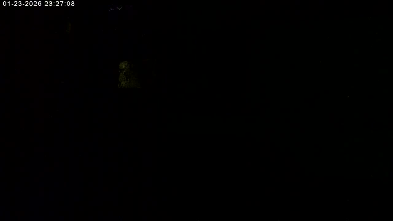 Manhester, NH, Falcon Life Live Cam - Manchester, Hillsborough, New Hampshire, USA