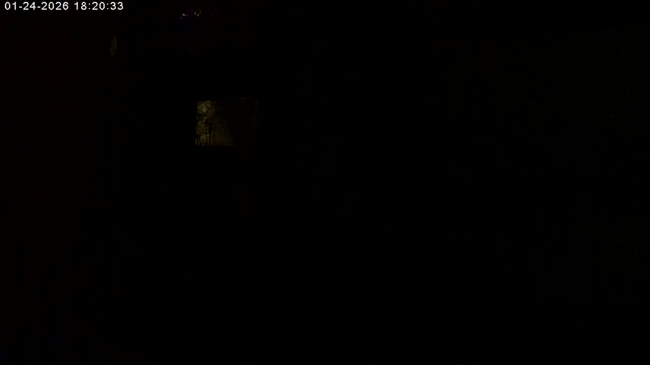 Manhester, NH, Falcon Life Live Cam - Manchester, Hillsborough, New Hampshire, USA