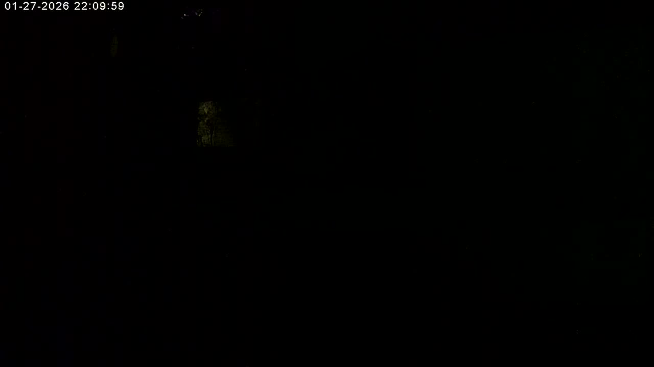Manhester, NH, Falcon Life Live Cam - Manchester, Hillsborough, New Hampshire, USA