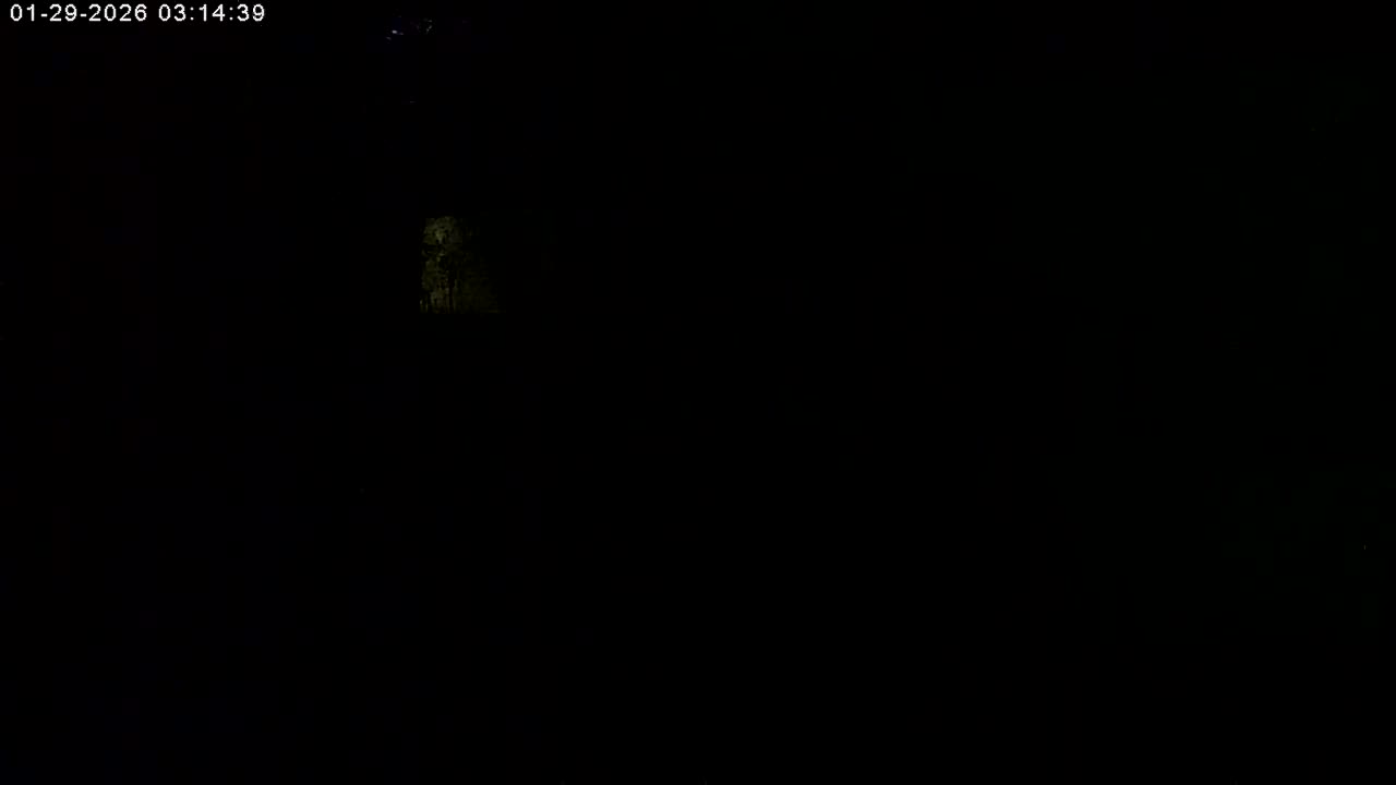 Manhester, NH, Falcon Life Live Cam - Manchester, Hillsborough, New Hampshire, USA