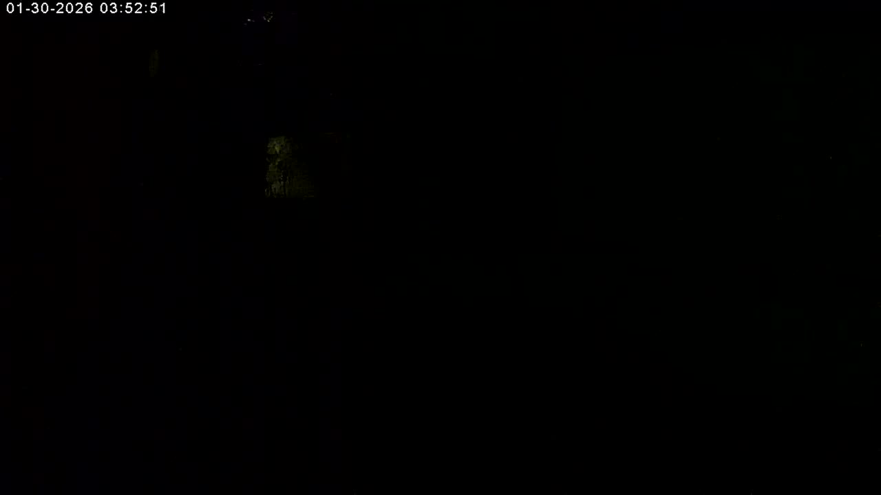Manhester, NH, Falcon Life Live Cam - Manchester, Hillsborough, New Hampshire, USA