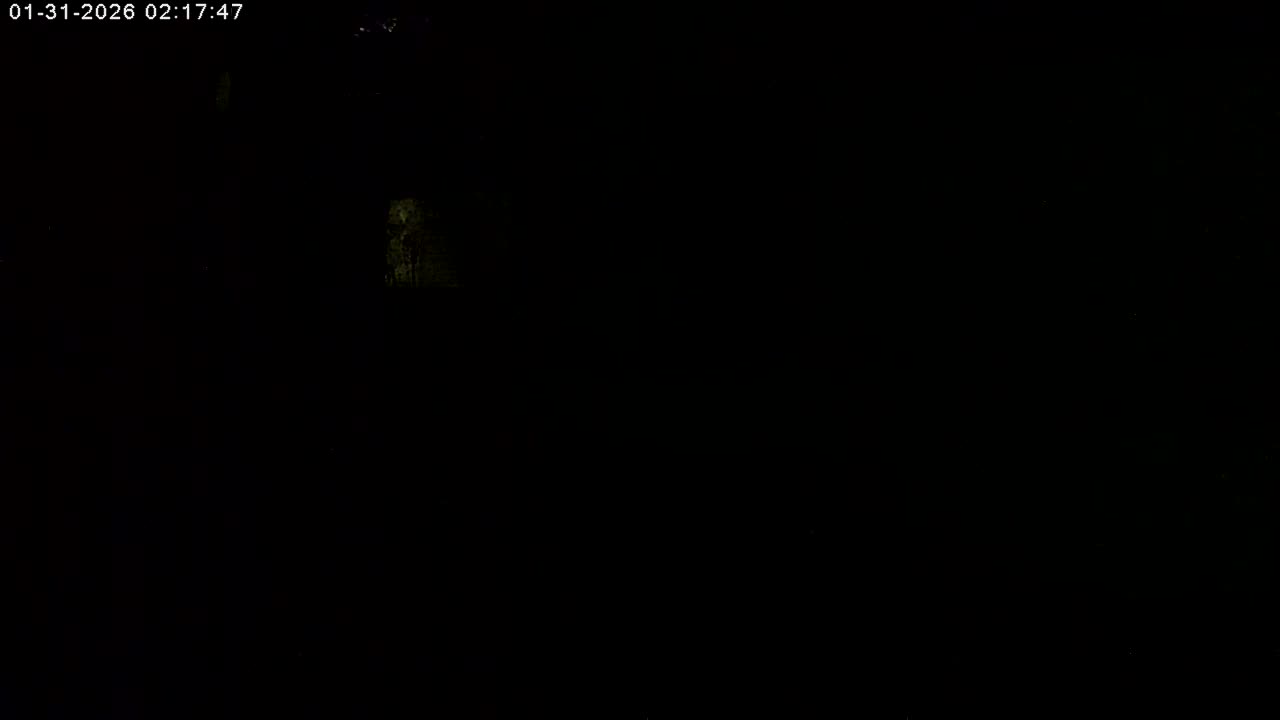Manhester, NH, Falcon Life Live Cam - Manchester, Hillsborough, New Hampshire, USA