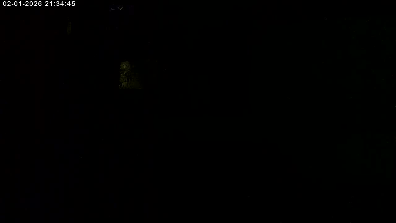 Manhester, NH, Falcon Life Live Cam - Manchester, Hillsborough, New Hampshire, USA