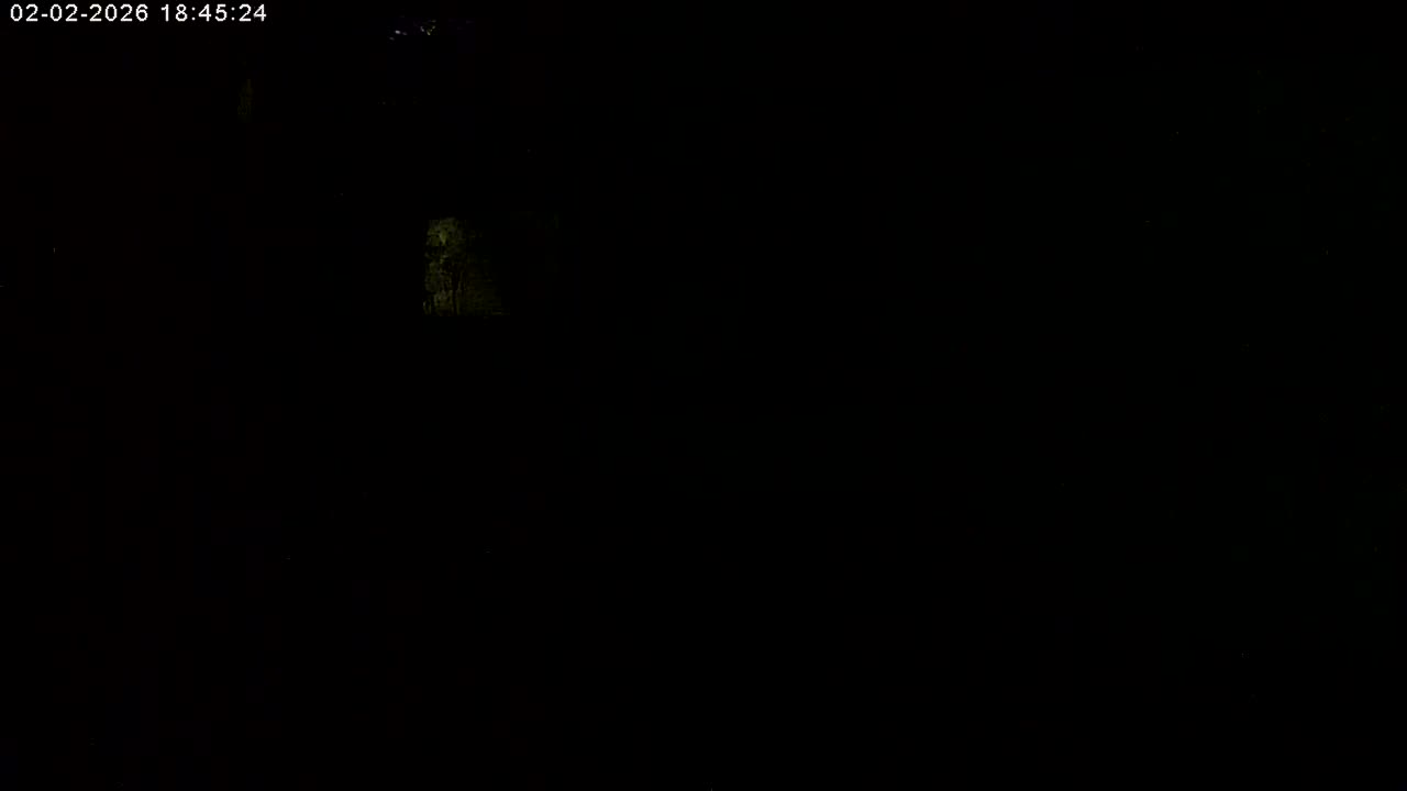 Manhester, NH, Falcon Life Live Cam - Manchester, Hillsborough, New Hampshire, USA