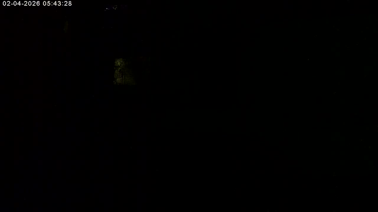 Manhester, NH, Falcon Life Live Cam - Manchester, Hillsborough, New Hampshire, USA