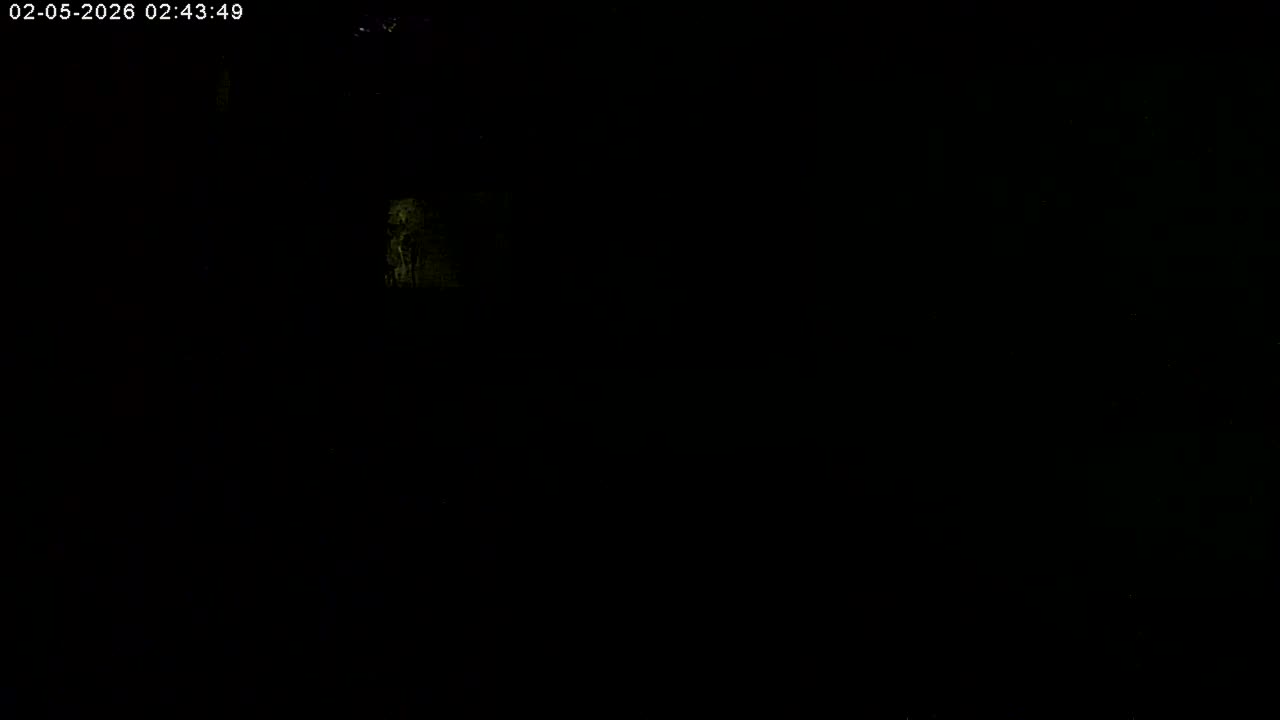 Manhester, NH, Falcon Life Live Cam - Manchester, Hillsborough, New Hampshire, USA