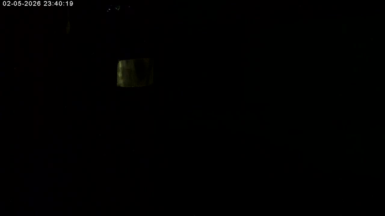 Manhester, NH, Falcon Life Live Cam - Manchester, Hillsborough, New Hampshire, USA