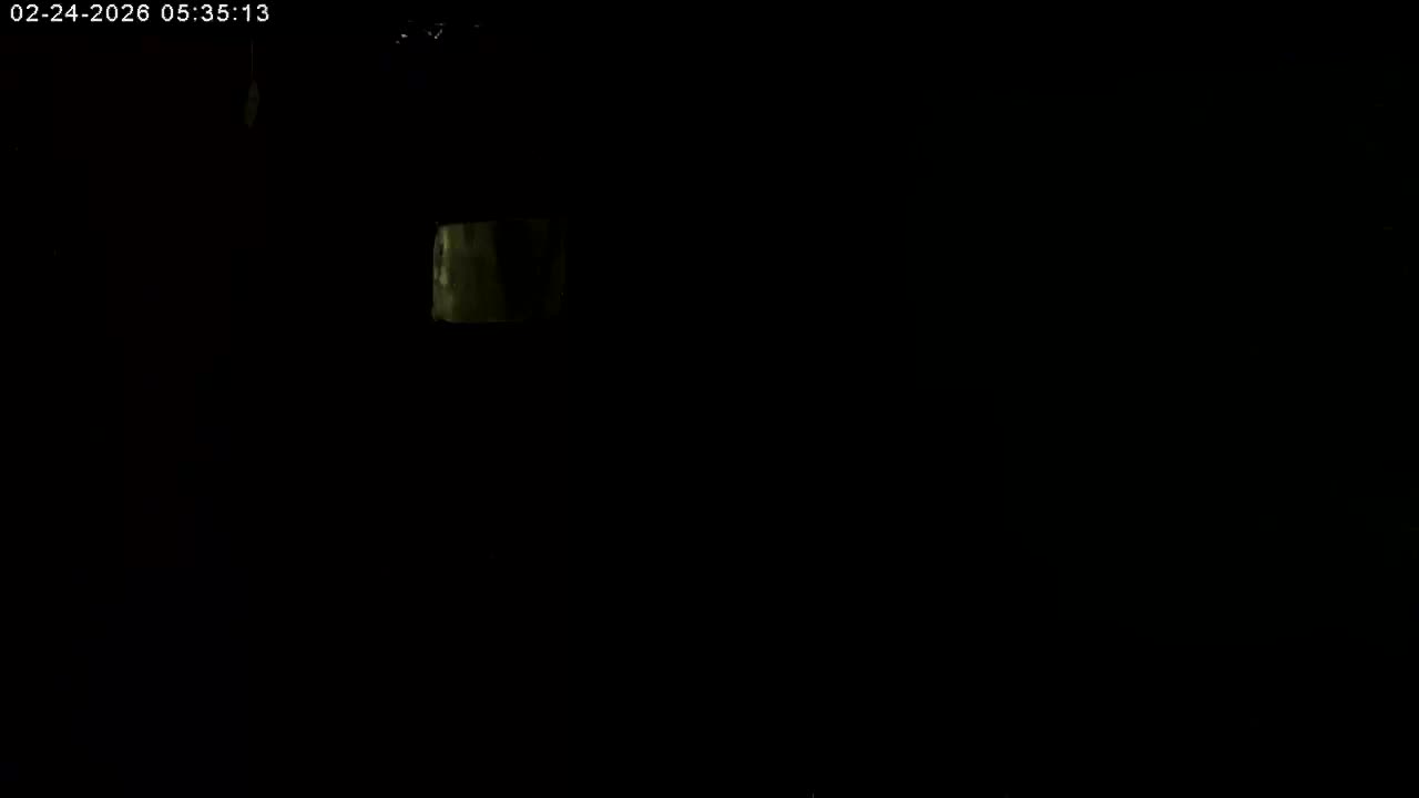 Manhester, NH, Falcon Life Live Cam - Manchester, Hillsborough, New Hampshire, USA