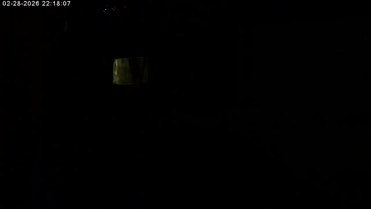 Manhester, NH, Falcon Life Live Cam - Manchester, Hillsborough, New Hampshire, USA