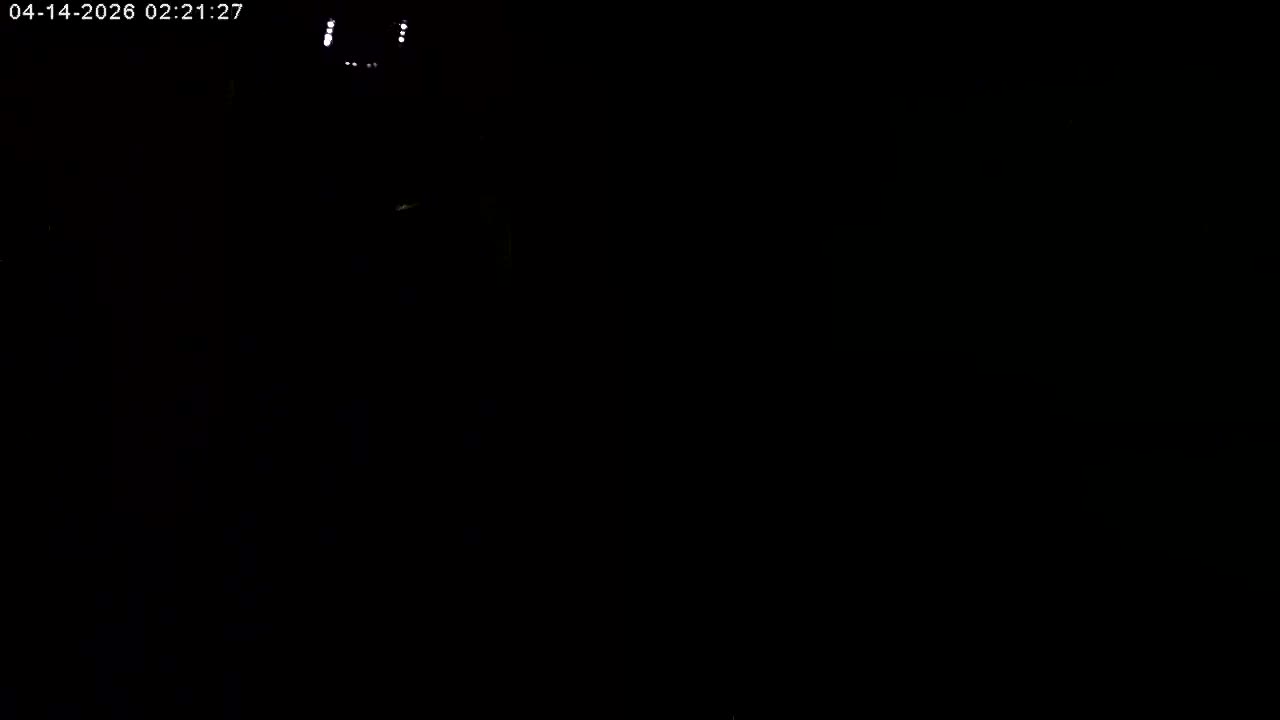 Manhester, NH, Falcon Life Live Cam - Manchester, Hillsborough, New Hampshire, USA