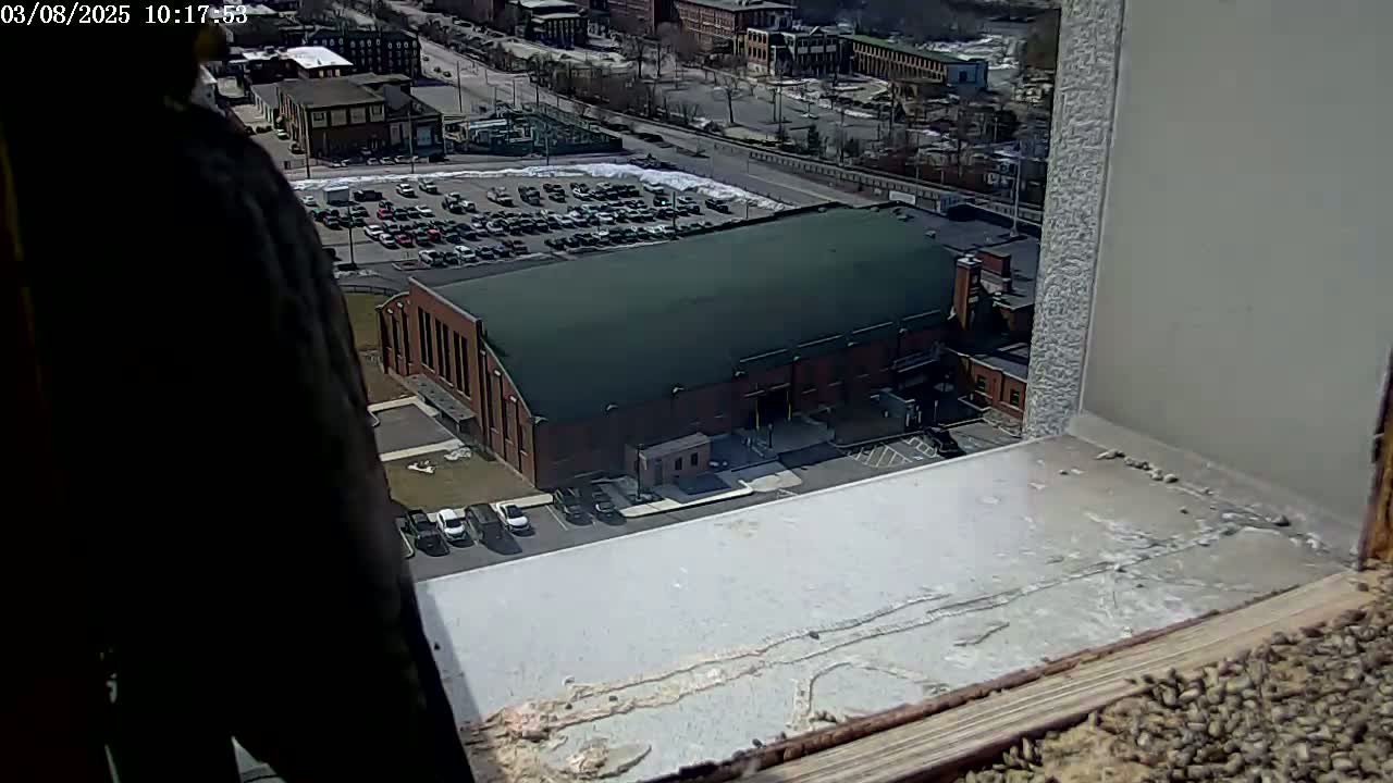 A large brick building with a green roof is visible from a high vantage point on a sunny day, with a parking lot and other buildings in the background.