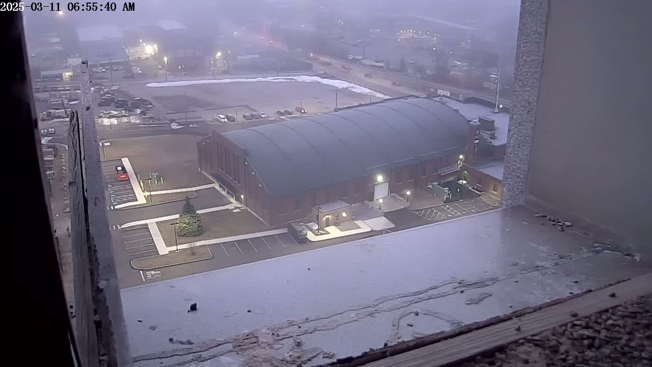 A large brick building with a curved roof is visible from a high vantage point on a foggy morning.