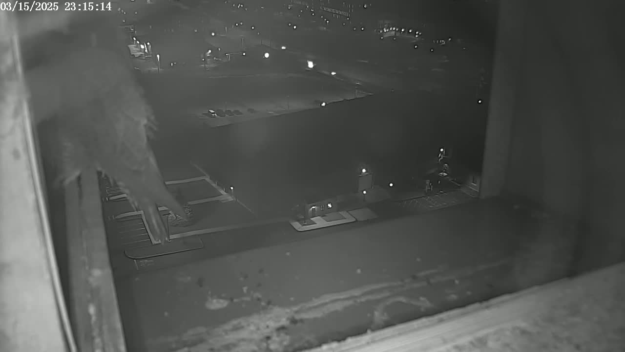 A nighttime view from a window shows a parking lot and building exterior, illuminated by artificial lights.