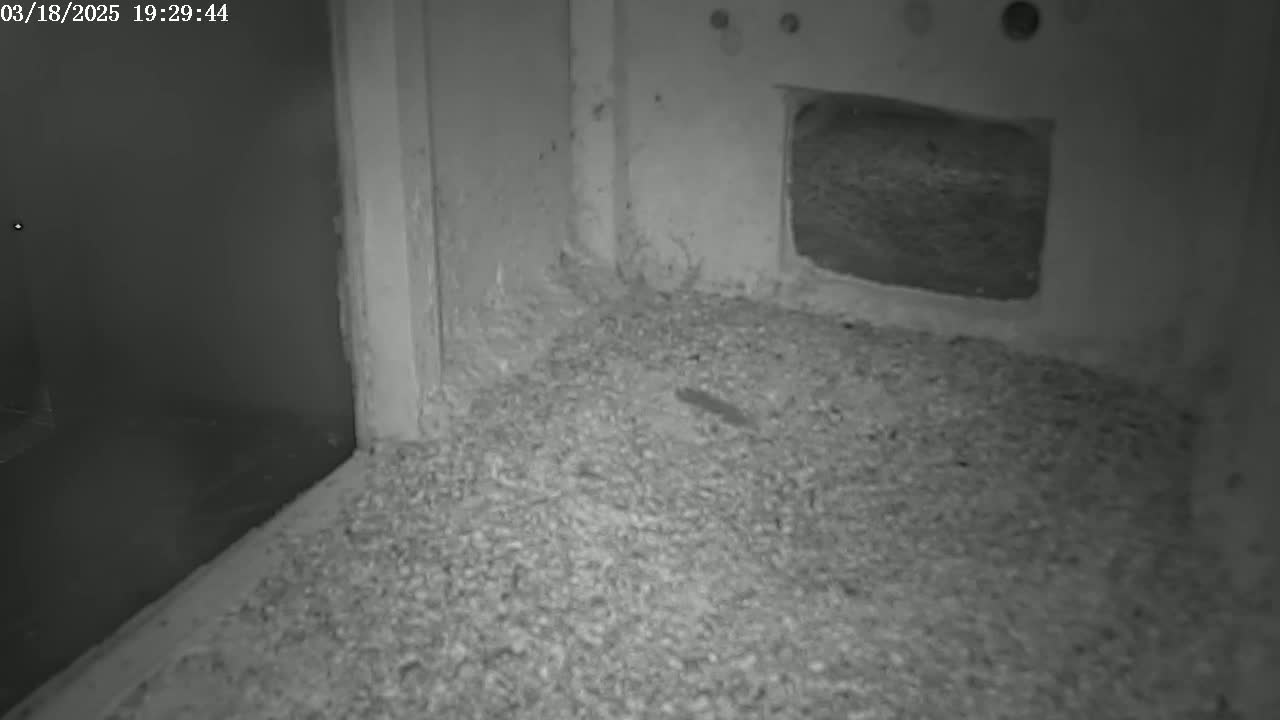 A dimly lit interior corner shows a floor covered in loose, granular material near a wall with a small, dark rectangular opening.
