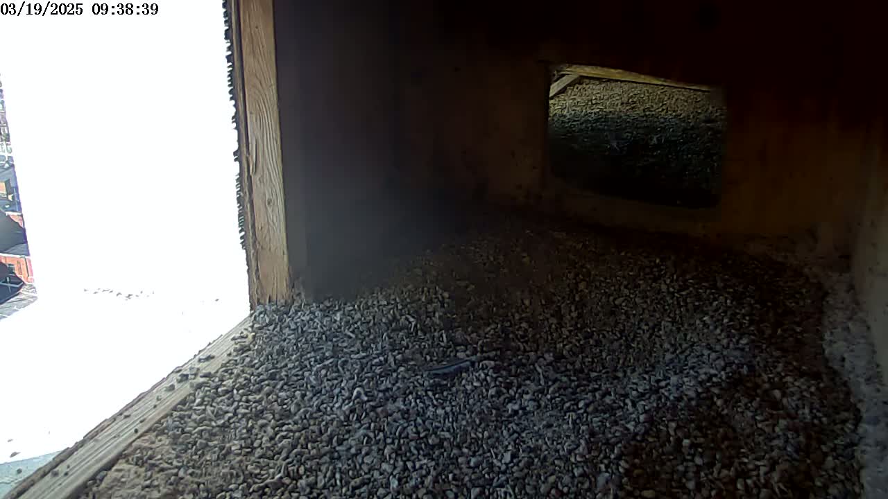 The interior of a wooden structure shows a floor covered in small, dark-colored pebbles, with a bright, snow-covered exterior visible through an opening.