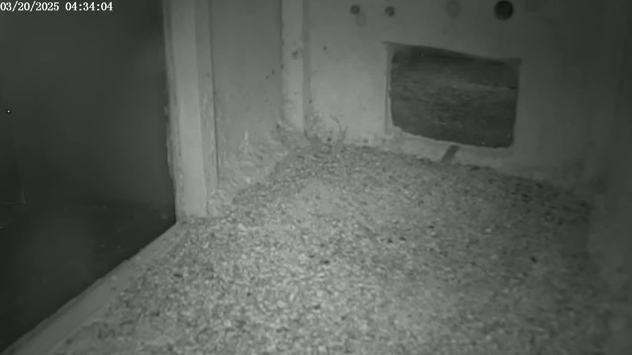 A dark, indoor corner shows a floor covered in a layer of small, granular material, next to a wall with a small, rectangular opening.