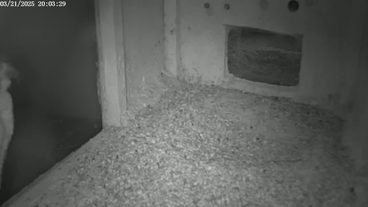 A dimly lit, indoor space contains a large pile of granular material on the floor near a wall with a small, dark opening.