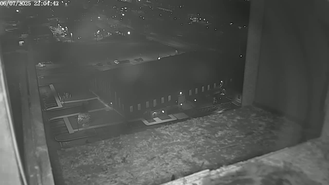 New Hampshire , Manchester City Skyline & Falcons Life Live Cam 2 - Manchester, Hillsborough, New Hampshire, USA