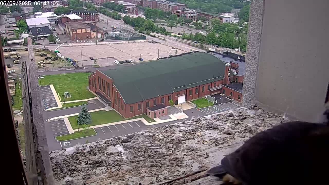 A large brick building with a green roof is seen from a high vantage point, overlooking a parking lot and a grassy area; a bird is perched on a ledge in the foreground.