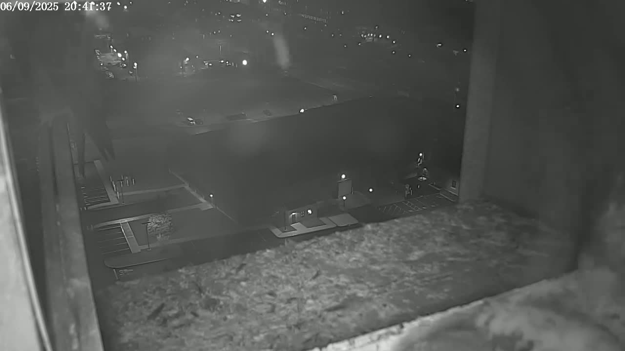 New Hampshire , Manchester City Skyline & Falcons Life Live Cam 2 - Manchester, Hillsborough, New Hampshire, USA