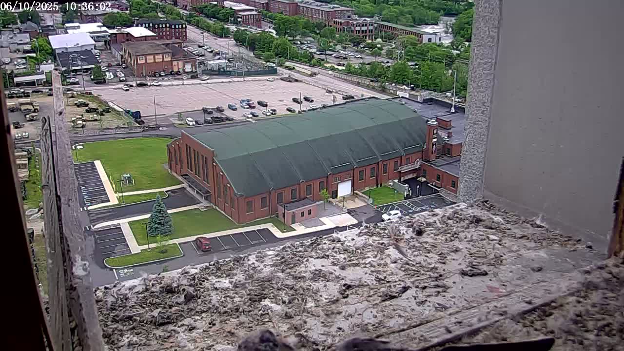 A high-angle view shows a large brick building with a green roof, surrounded by parking lots and a grassy area, on a partly sunny day.