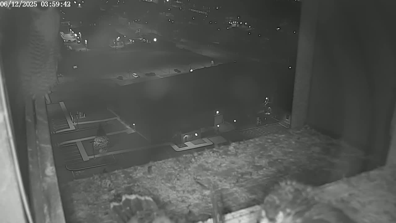 A nighttime, grainy, high-angle view from a building shows a parking lot and building below, illuminated by artificial lights.