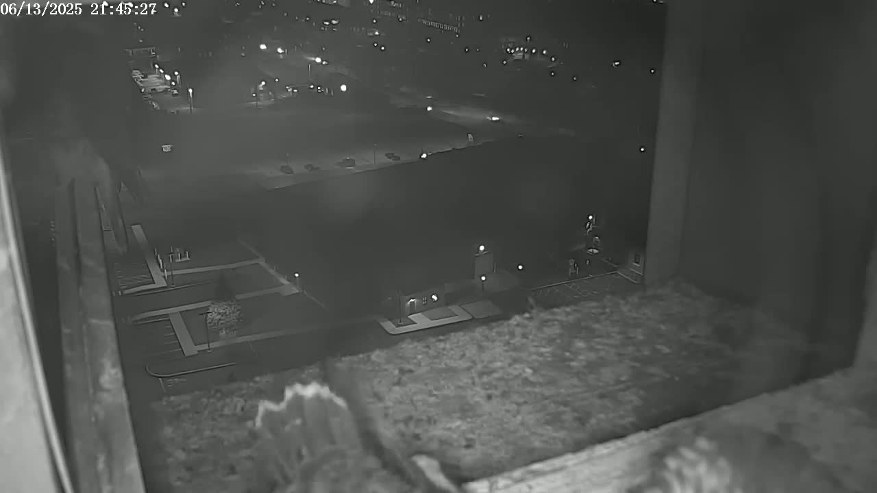 New Hampshire , Manchester City Skyline & Falcons Life Live Cam 2 - Manchester, Hillsborough, New Hampshire, USA
