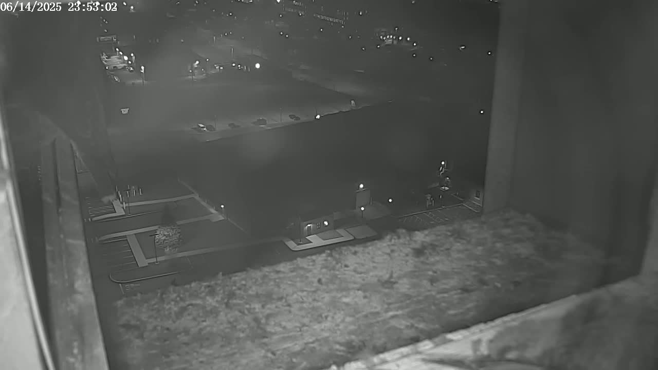 New Hampshire , Manchester City Skyline & Falcons Life Live Cam 2 - Manchester, Hillsborough, New Hampshire, USA