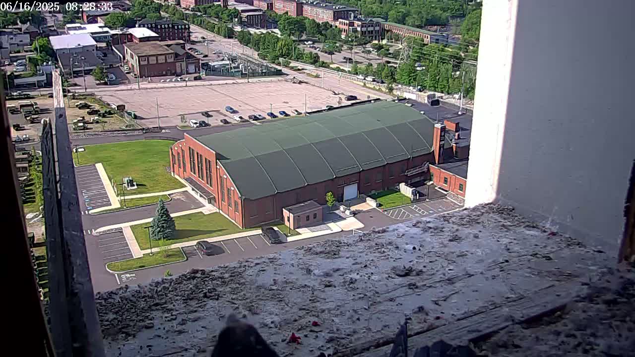 A high-angle view from a window shows a large brick building with a green roof, a parking lot, and surrounding cityscape on a sunny day.